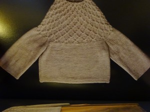 DSC01043